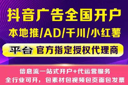 竞价排名中的数据分析和优化案例